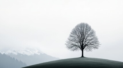 Single Bare Tree on Hill Against Misty Background with Snow-Capped Mountains in Soft Light