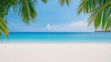 Serene Tropical Beach with Crystal Clear Water and Lush Palm Trees under a Bright Blue Sky