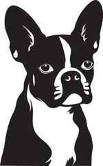 Boston Terrier Silhouette Vector Illustration White Background