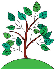 green young tree with green leaves on a green meadow