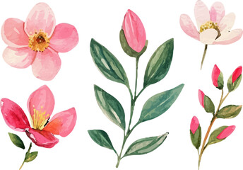 pattern with flowers