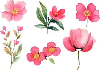 bouquet of pink flowers