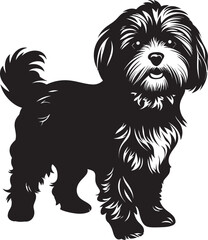 Havanese Silhouette Vector Illustration White Background
