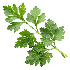 decorated christmas tree