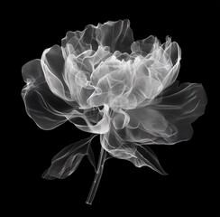 A single peony flower made of transparent plastic material
