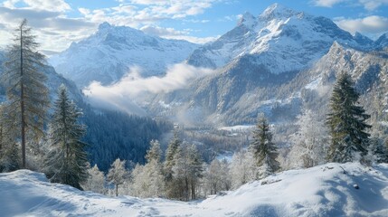 Snowy Mountain Landscape with Pine Trees and Clear Blue Sky
