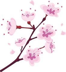 Cherry Blossom Flowers Vector Illustration