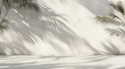 Shadow of palm leaves on white concrete light beige wall