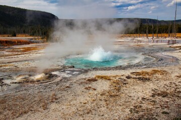 Spouter Geyser in the Black Sand Basin in Upper Geyser Basin in Yellowstone National Park Wyoming.