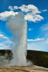 Fototapeta premium Old Faithful Geyser in Upper Geyser Basin in Yellowstone National Park Wyoming.