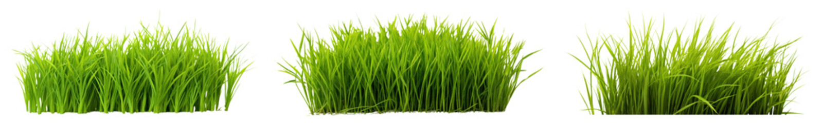 Fototapeta premium Green grass lawn png cut out element set, transparent background