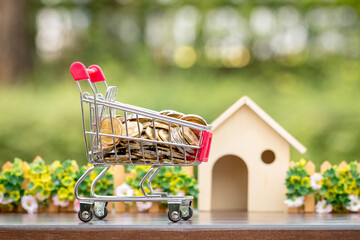 Shopping basket cart and gold coins with growing money and home model put on the wood in the public park, Business investment for real estate and property protection concept.