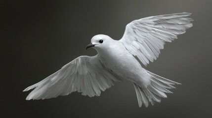 Fototapeta premium Stunning White Petrel in Mid-flight Showcasing Graceful Wings and Bird Anatomy Against a Minimalist Background