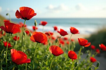 A sea of vibrant red poppies swaying gently in the ocean breeze, nature, red poppies