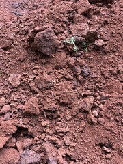 Close-up photo of soil texture taken in Kerala's Malappuram district, showcasing natural earthy tones and fine details. Perfect for environmental, agricultural, and nature-related projects.