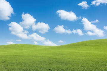 Vast grassy field stretches under bright blue sky dotted with fluffy white clouds. Gentle hills roll across landscape. Serene, tranquil natural scene. Perfect for rural countryside beauty. Rich