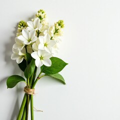 Fototapeta premium Fresh white lilac flowers in a loose bouquet tied with twine, fresh cut, stems, bouquet