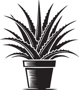 Aloe vera plant on tob silhouette isolated on white background simple aloe vera icon shape