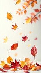Leaves dancing in the air against a crisp white surface, autumn leaves, air currents