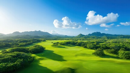 Obraz premium A lush green field with a blue sky in the background