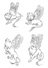 Fototapeta premium black and white wings