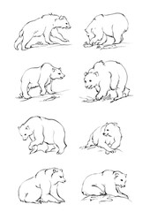 set of bear