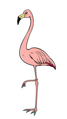 Fototapeta premium “Sassy Flamingo Standing on One Leg Outline Only, No Fill Color, Thicker Line” – A doodle of a flamingo with a sassy pose on one leg, outlined with thick lines and no fill color on a white background.