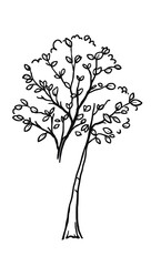 “Simple Tree with Few Leaves Outline Only, No Fill Color, Thicker Line” – A doodle of a basic tree with a few leaves, outlined in thick lines and no fill color on a white background.
