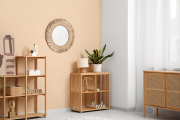 Modern living room with shelving units, houseplant and mirror