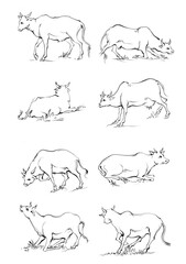 Hand drawn Cow Standing Sketch Illustration
