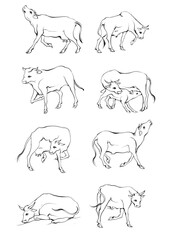 Hand drawn Cow Standing Sketch Illustration
