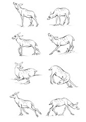 Vintage engrave isolated deer set illustration ink sketch. Wild doe stag background reindeer vector art

