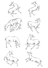 Vintage engrave isolated deer set illustration ink sketch. Wild doe stag background reindeer vector art
