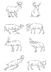 Vintage engrave isolated deer set illustration ink sketch. Wild doe stag background reindeer vector art
