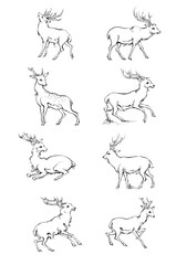 Vintage engrave isolated deer set illustration ink sketch. Wild doe stag background reindeer vector art
