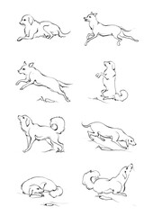 Doodle Cartoon dog illustration set in different poses. Cute sitting, running and lying vector dog isolated on white background