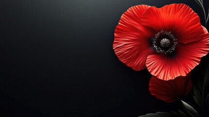 Fototapeta premium Stylized red poppy flower on black background. Remembrance Day, Armistice Day, Anzac day symbol