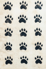Fototapeta premium Pattern of black animal paw prints arranged in neat rows on a textured white background, conveying an adventurous and playful theme.