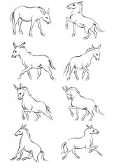 Horse, a colouring book for kids, easy to colour, vector illustration, Vector, Annimals