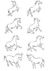 Horse, a colouring book for kids, easy to colour, vector illustration, Vector, Annimals