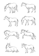 Horse, a colouring book for kids, easy to colour, vector illustration, Vector, Annimals
