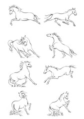 illustration of a horse