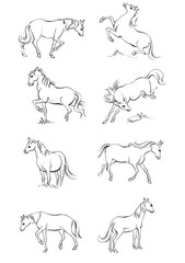 6 Horse, a colouring book for kids, easy to colour, vector illustration, Vector, Annimals
