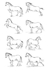 6 Horse, a colouring book for kids, easy to colour, vector illustration, Vector, Annimals

