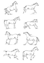6 Horse, a colouring book for kids, easy to colour, vector illustration, Vector, Annimals
