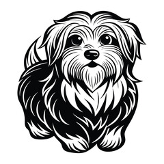 vector maltese