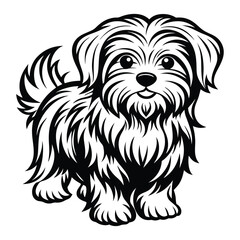 vector maltese