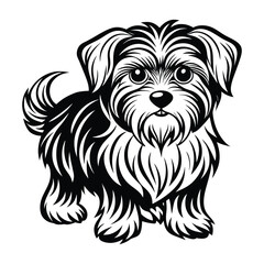 vector maltese