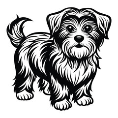 vector maltese