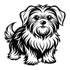 vector maltese